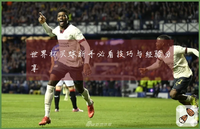世界杯买球新手必看技巧与经验分享