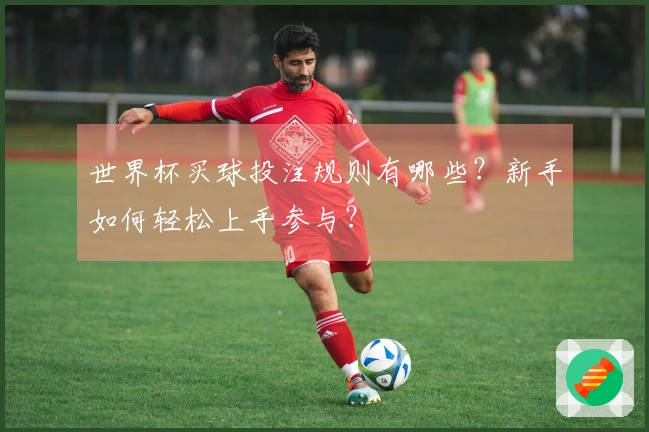 世界杯买球投注规则有哪些？新手如何轻松上手参与？
