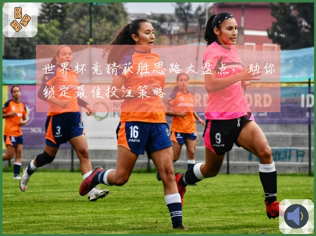 世界杯竞猜获胜思路大盘点，助你锁定最佳投注策略
