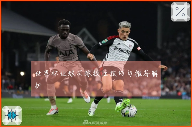 世界杯让球买球投注技巧与推荐解析