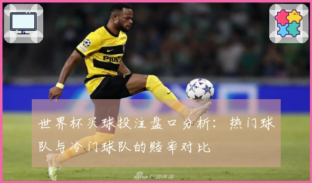 世界杯买球投注盘口分析：热门球队与冷门球队的赔率对比