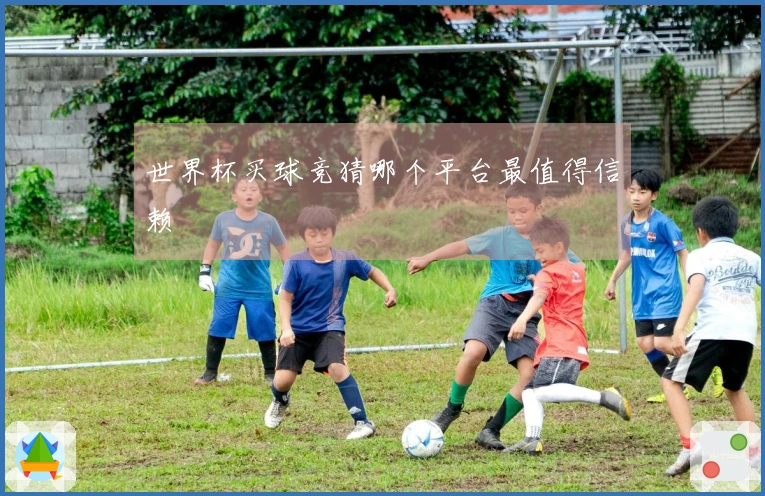 世界杯买球竞猜哪个平台最值得信赖