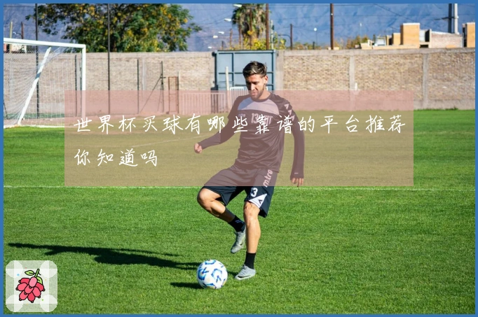 世界杯买球有哪些靠谱的平台推荐你知道吗