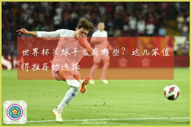 世界杯买球平台有哪些？这几家值得推荐的选择