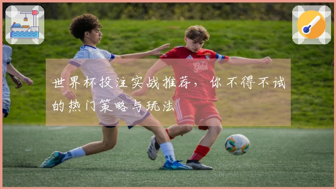 世界杯投注实战推荐，你不得不试的热门策略与玩法