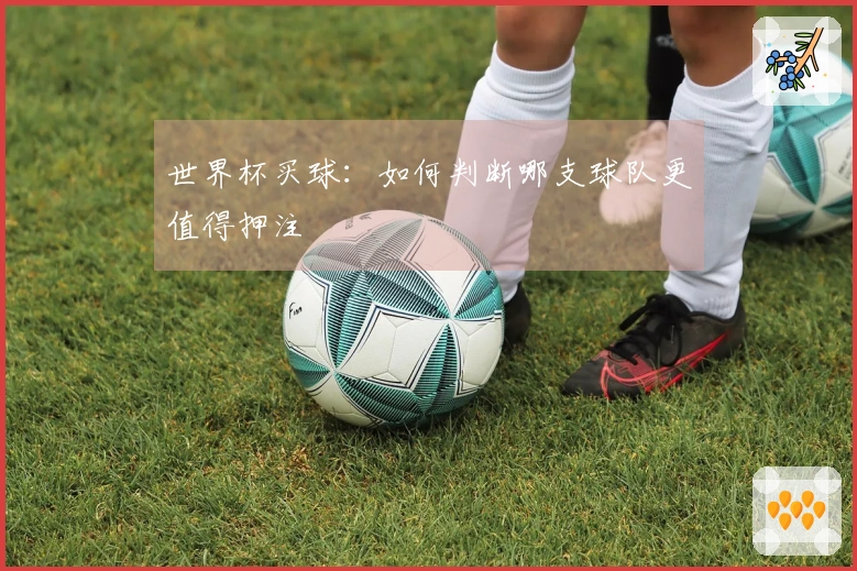 世界杯买球：如何判断哪支球队更值得押注