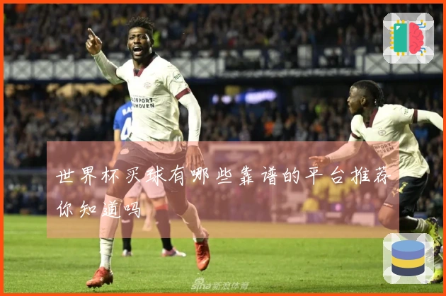 世界杯买球有哪些靠谱的平台推荐你知道吗